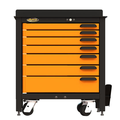 Pro 30 Workbench