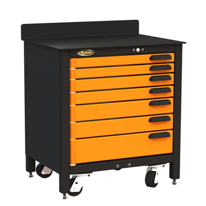 Pro 30 Workbench
